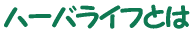 n[oCtƂ 